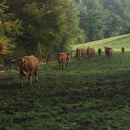 Repos Du Cocher Homestay Grez-Doiceau