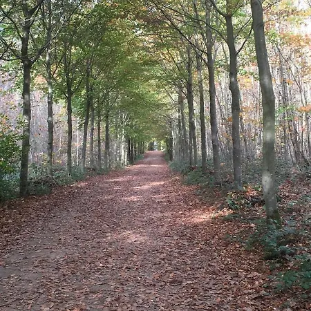 Repos Du Cocher Homestay Grez-Doiceau